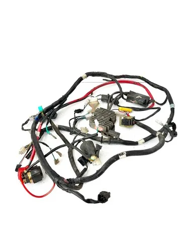 IMPIANTO ELETTRICO COMPLETO KYMCO AGILITY 200i R16 (2014 - 2017) Cablaggio